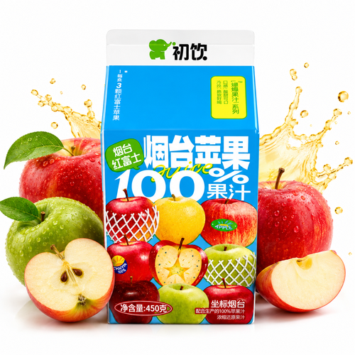 Suco De Maça 100% Chuyin 450G